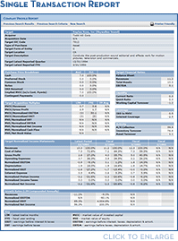 Sample: Company Profile Report